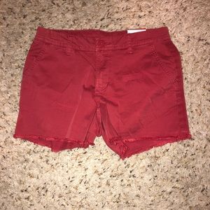 NEVER WORN shorts